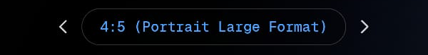 Aspect ratio selector showing 4:5 Portrait Large Format